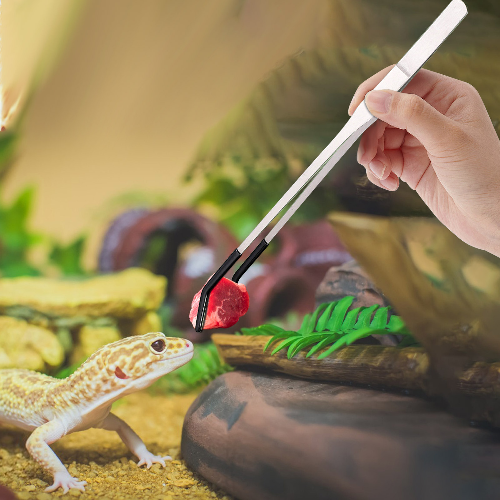 Water Dish Reptile - Roestvrijstalen reptielenvoeding lange tang pincet voor