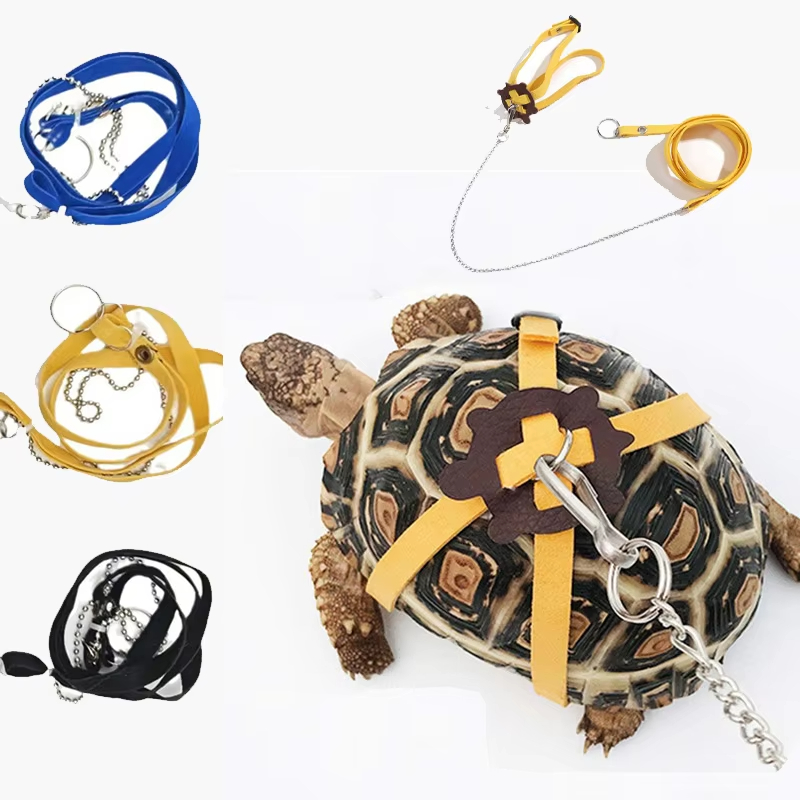 Schildpad Tractieriem Controle - Water Dish Reptile recensie en prijs