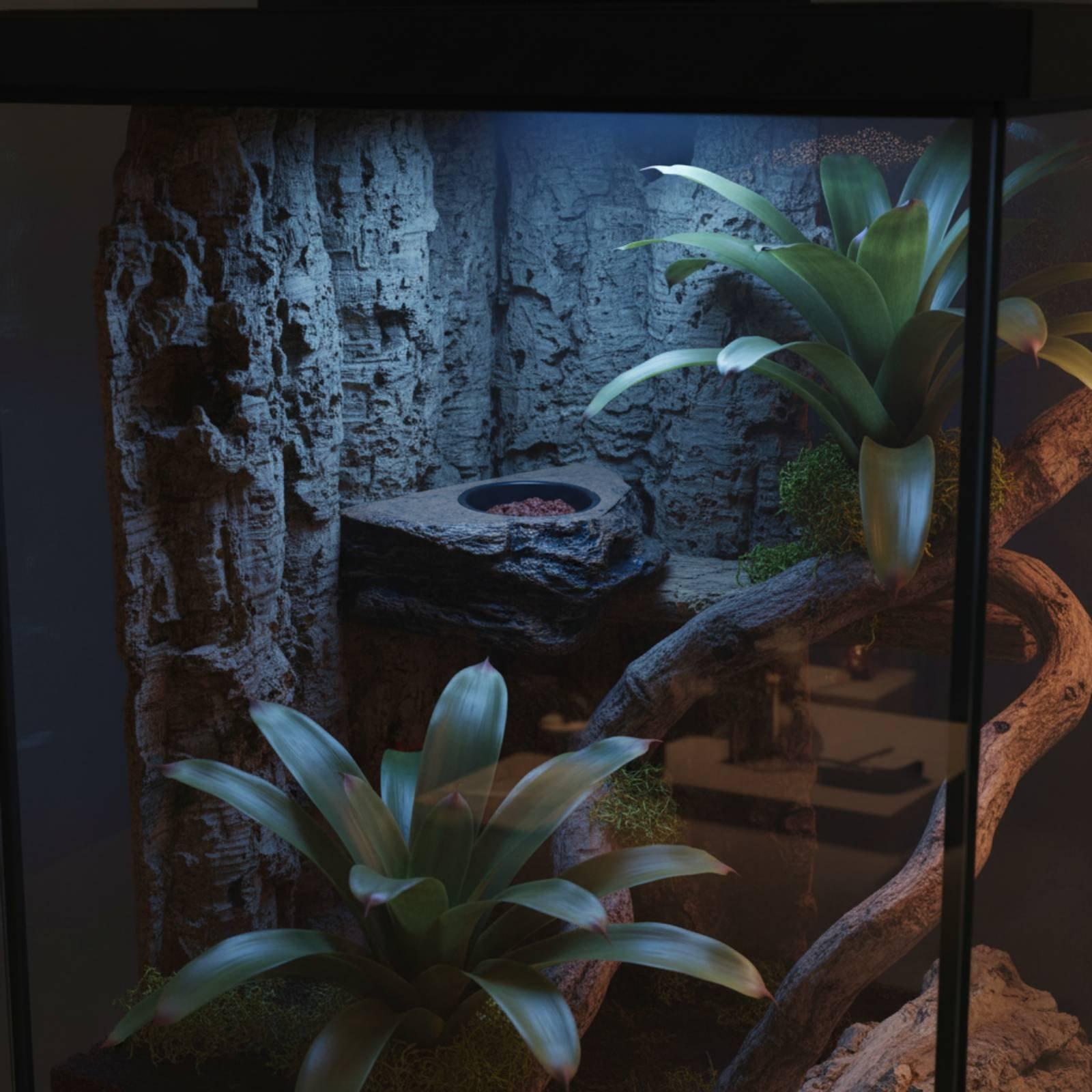 Gecko Voer- en Waterrek met Ve - Water Dish Reptile recensie en prijs