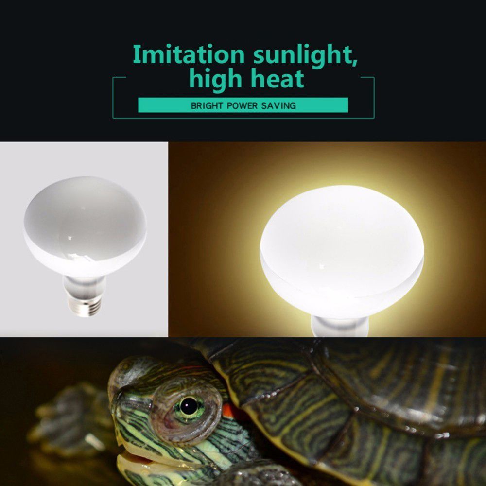Schildpadverwarmer Temperatuur - Basking Bulb Halogen recensie en prijs