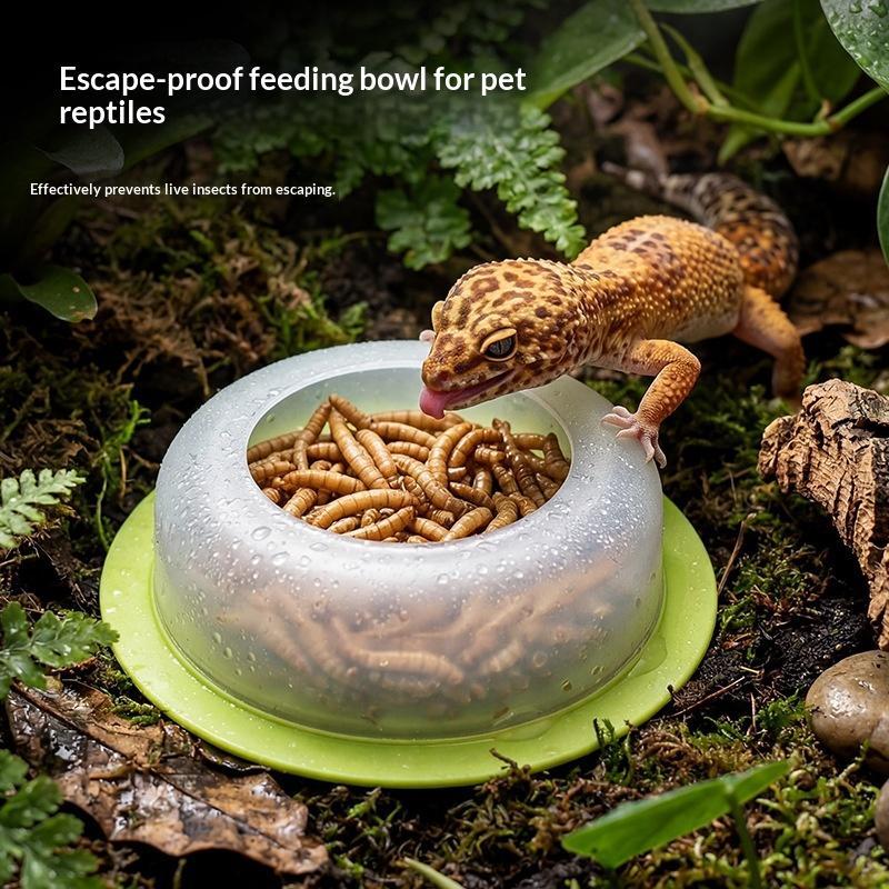 1 Stuks ABS Reptiel Voerbak An - Water Dish Reptile recensie en prijs